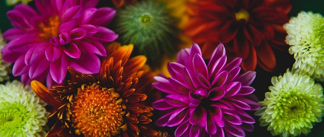 莱斯特城 莱斯特城