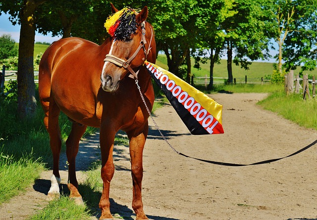 们需要特别 们需要特别