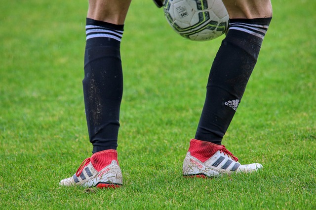 们对职业运 们对职业运