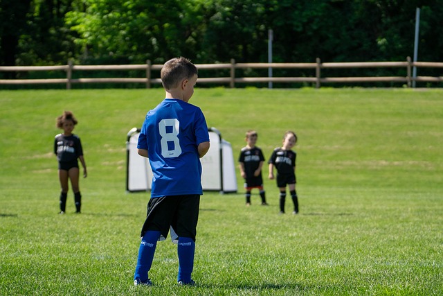 显示出中场 显示出中场