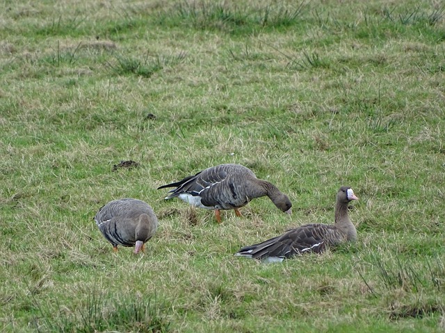同时保持良 同时保持良