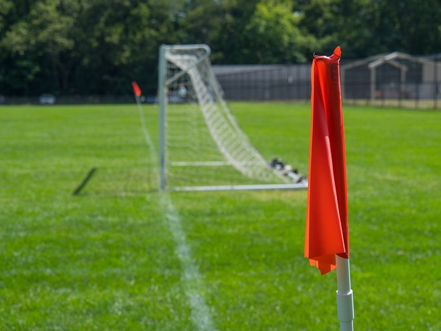 职业篮球俱 职业篮球俱