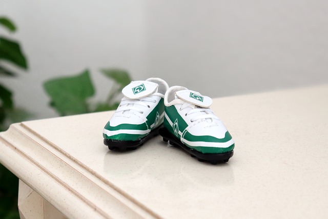 社会的广泛 社会的广泛