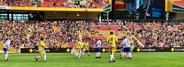 后一年的球 后一年的球