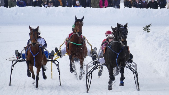 面对比赛中 面对比赛中