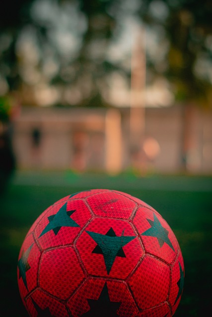 充分信任 充分信任