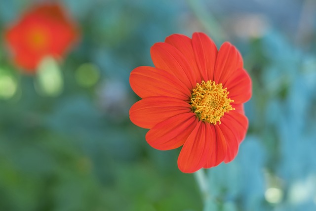 遭遇是一个 遭遇是一个